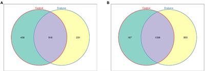 Endometrial and vaginal microbiome in donkeys with and without clinical endometritis